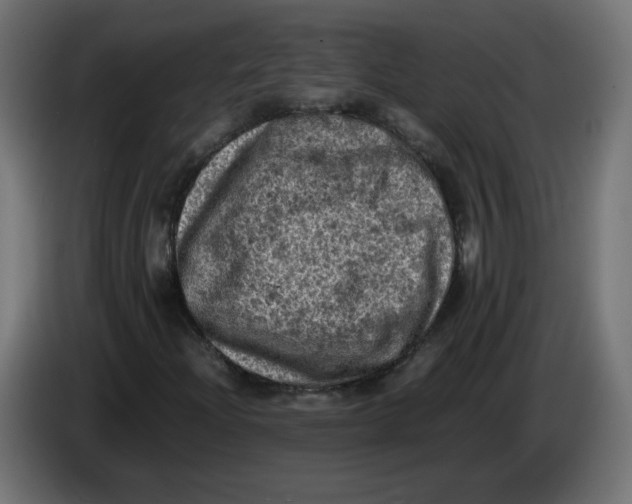 X0000086031204200704131905