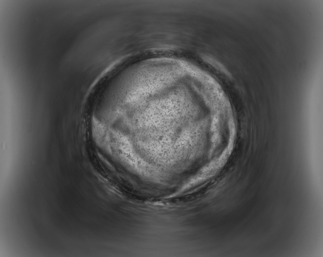 X0000086031208200704131905