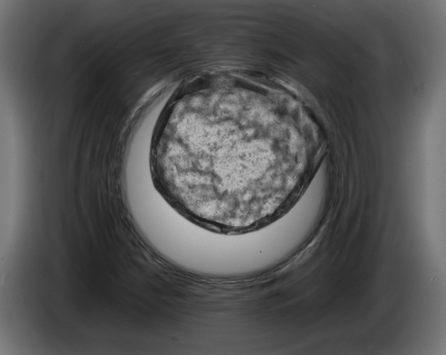 X0000086031210200704131905