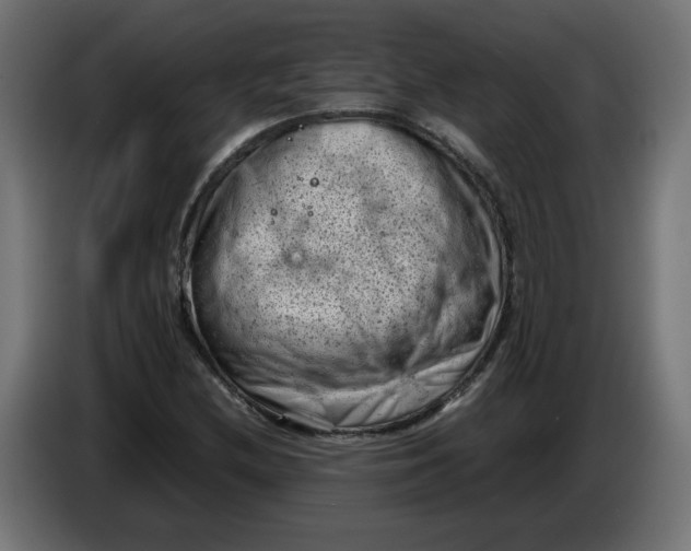 X0000086031212200704131905