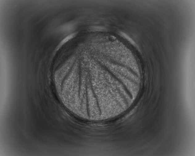 X0000086031213200704131905