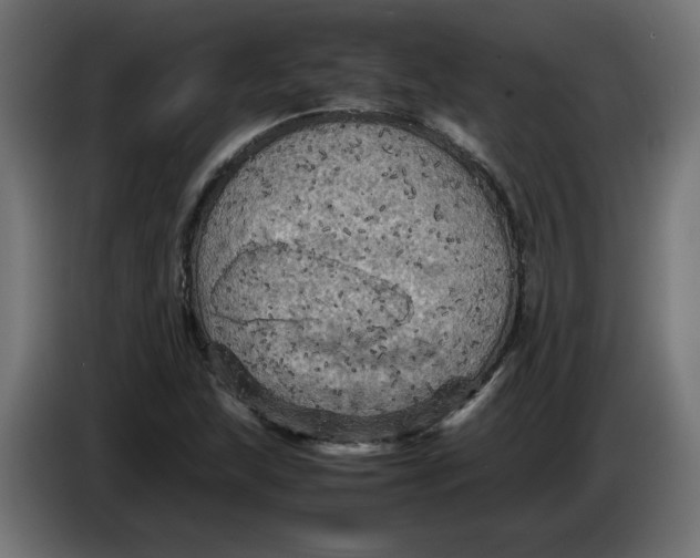 X0000086031215200704131905