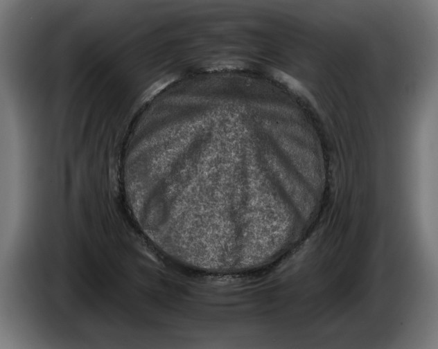 X0000086031217200704131905