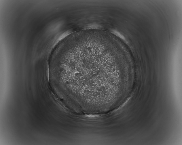 X0000086031219200704131905