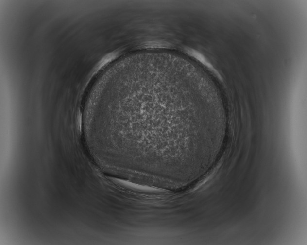 X0000086031221200704131905