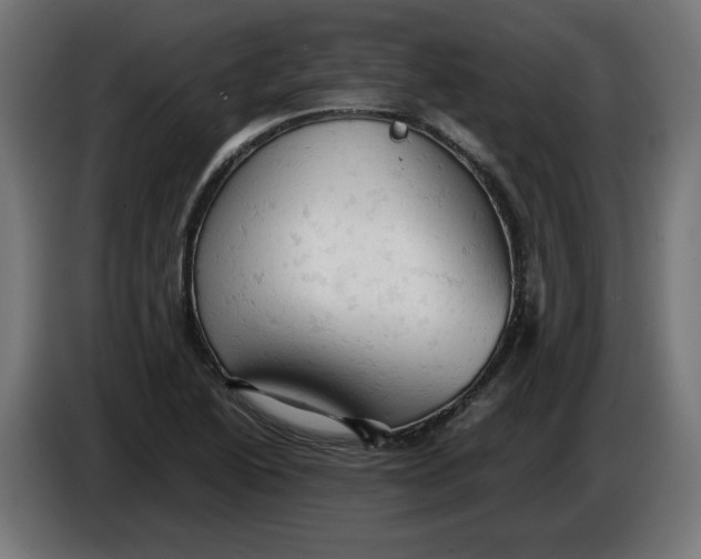 X0000086031222200704131905