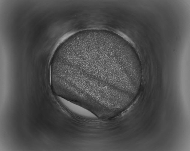 X0000086031223200704131905