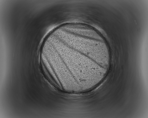 X0000086031224200704131905