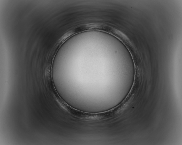 X0000086031225200704131905