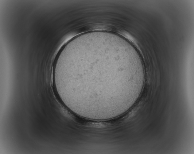 X0000086031227200704131905