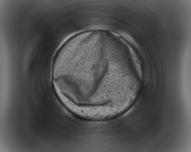 X0000086031228200704131905