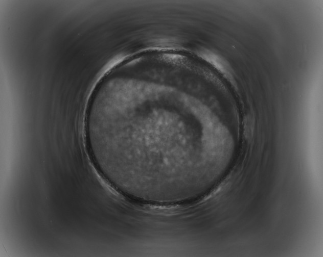 X0000086031229200704131905