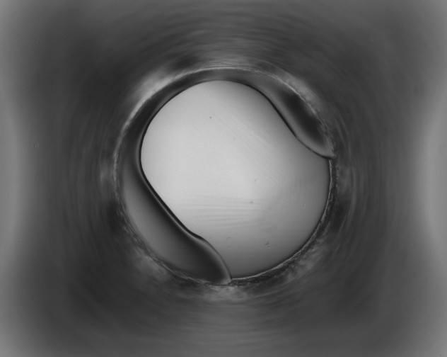 X0000086031230200704131905