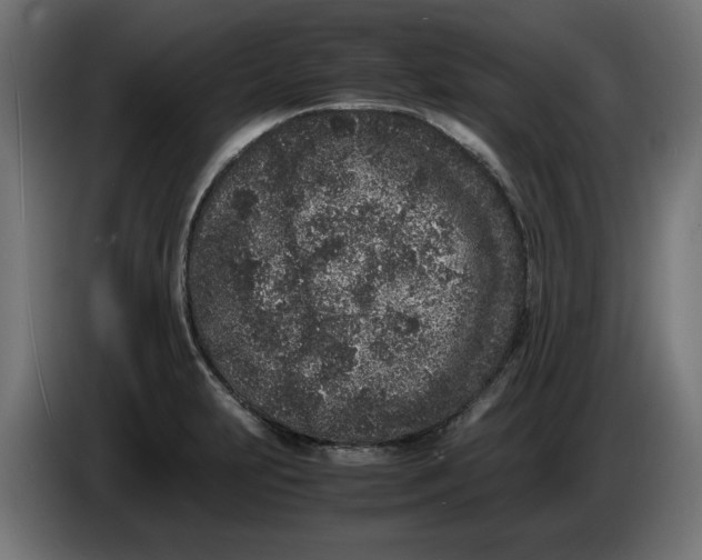 X0000086031231200704131905