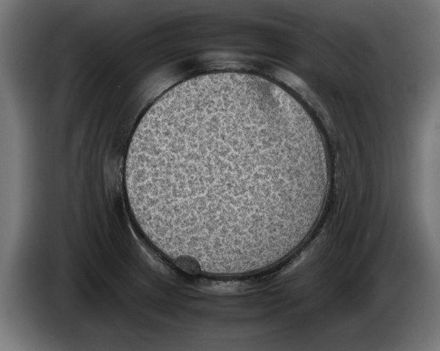 X0000086031233200704131905