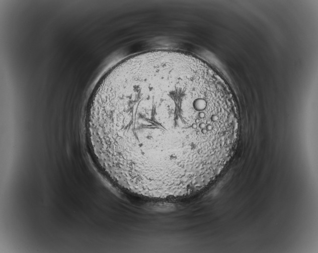 X0000086031235200704131905