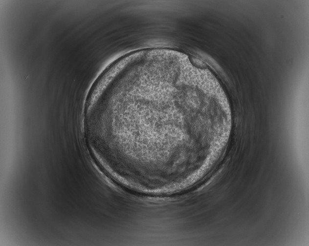 X0000086031236200704131905