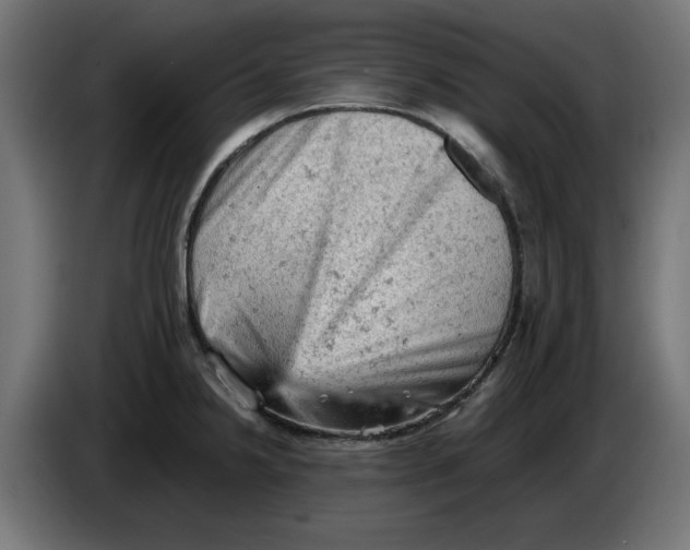 X0000086031238200704131905