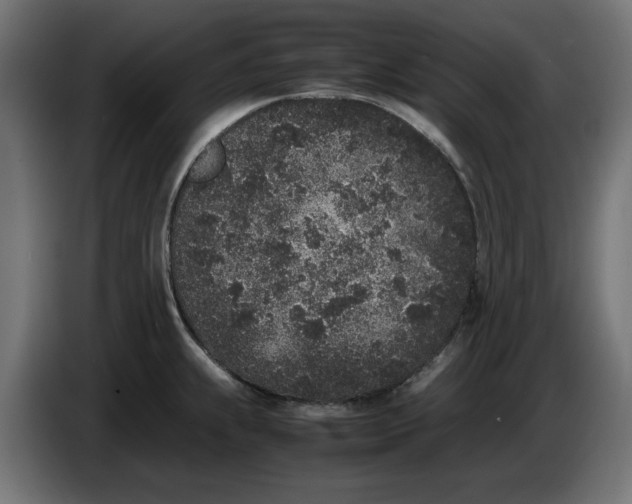 X0000086031239200704131905