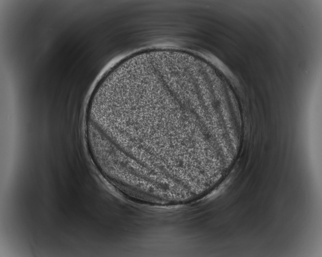 X0000086031240200704131905