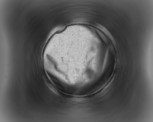 X0000086031242200704131905