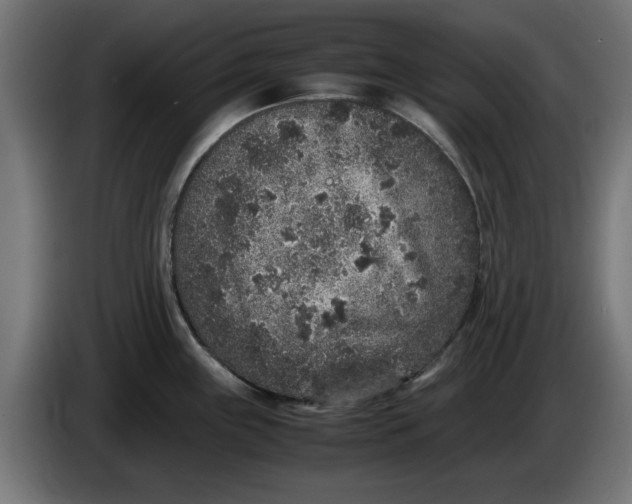 X0000086031243200704131906