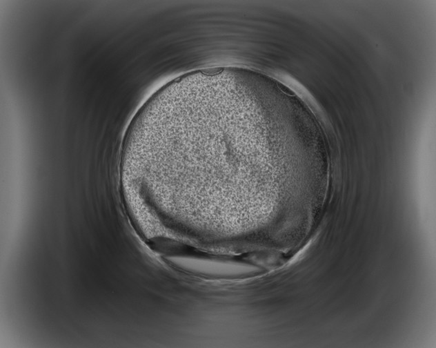 X0000086031244200704131906