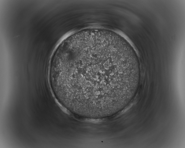 X0000086031245200704131906