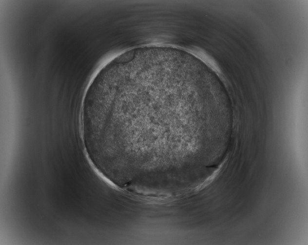 X0000086031247200704131906