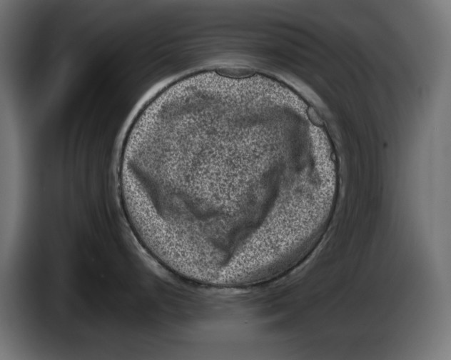 X0000086031248200704131906