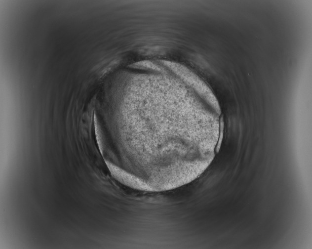 X0000086031250200704131905