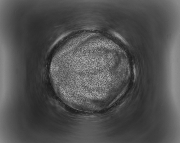 X0000086031256200704131905