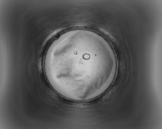 X0000086031262200704131905