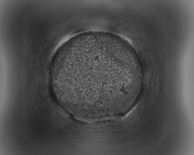 X0000086031263200704131905