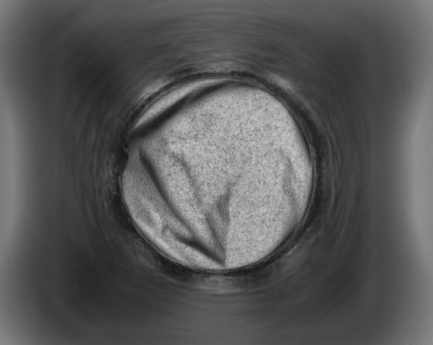 X0000086031265200704131905