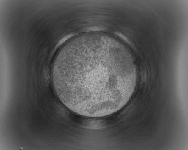 X0000086031266200704131905