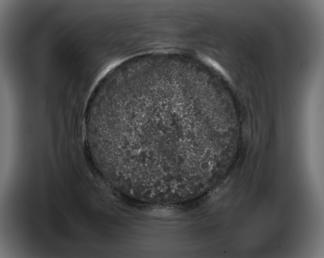 X0000086031267200704131905