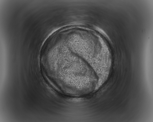 X0000086031268200704131905