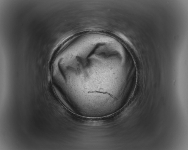 X0000086031269200704131905