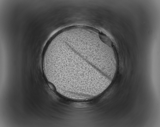 X0000086031272200704131905