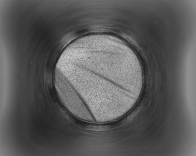 X0000086031273200704131905