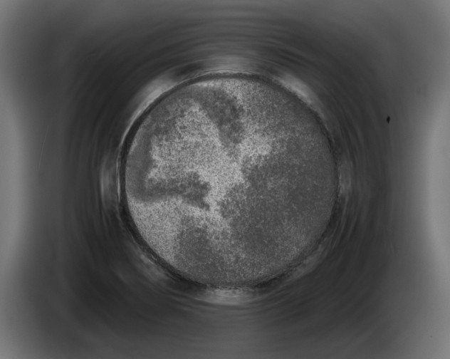 X0000086031274200704131905