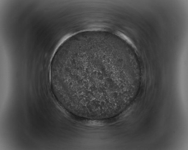 X0000086031275200704131905