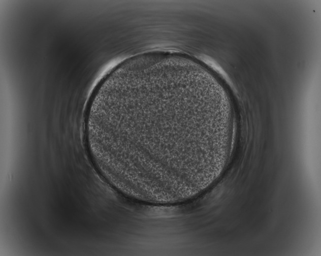 X0000086031277200704131905