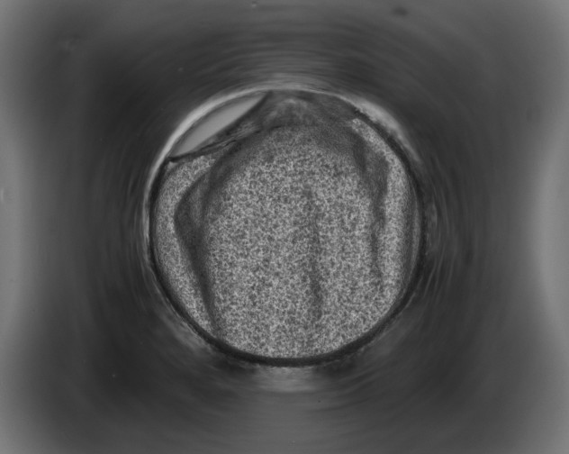 X0000086031280200704131904