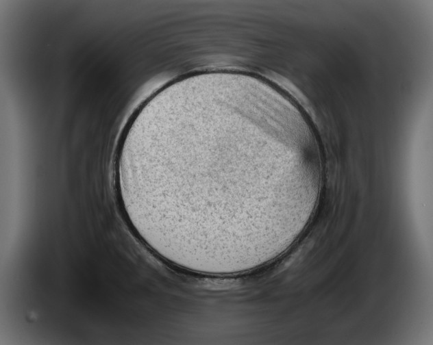 X0000086031285200704131904