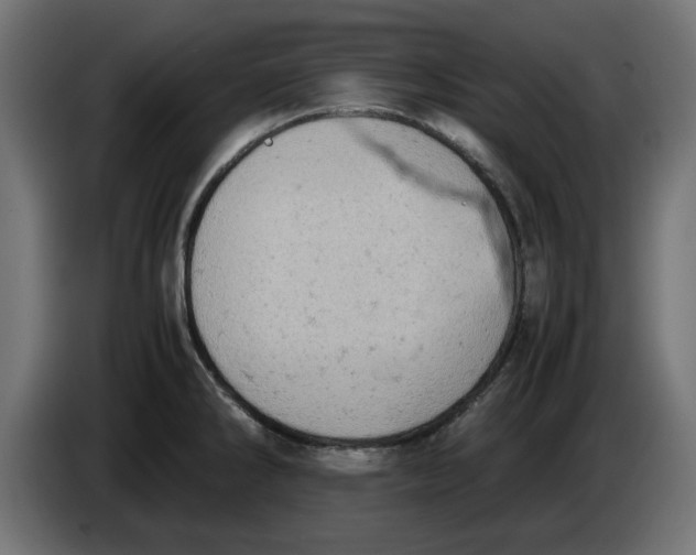 X0000086031286200704131904