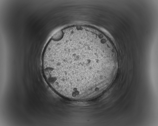 X0000086031287200704131904