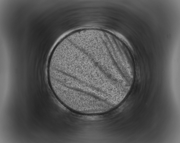 X0000086031288200704131904