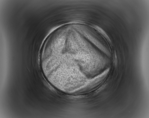 X0000086031292200704131904